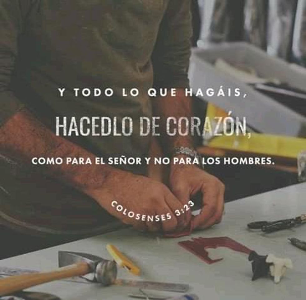 Moda Frase