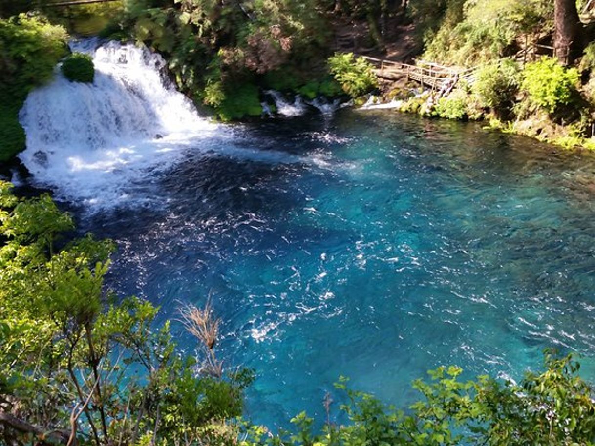 Place Los Ojos del Caburgua y su laguna azul