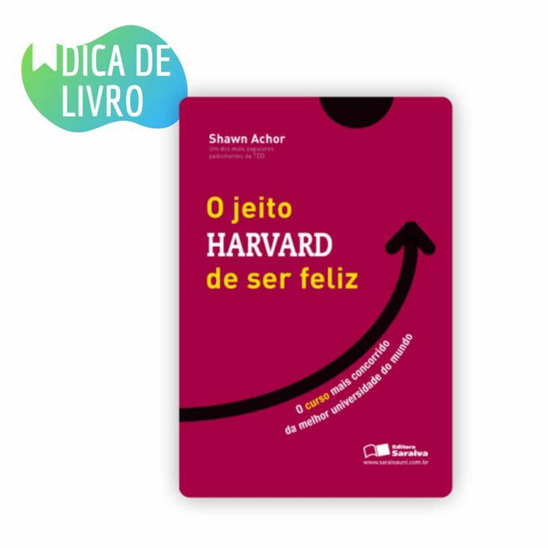 Social O JEITO HARVARD DE SER FELIZ