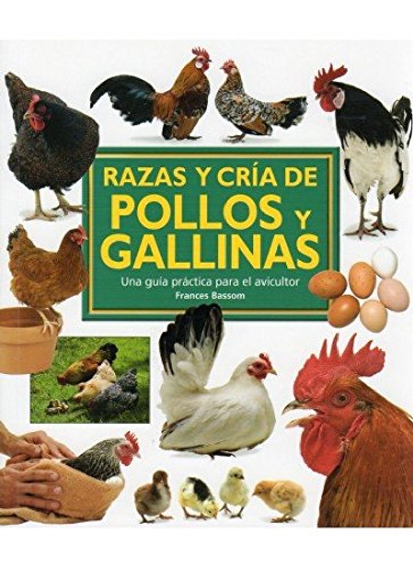 Libros RAZAS Y CRIA DE POLLOS Y GALLINAS