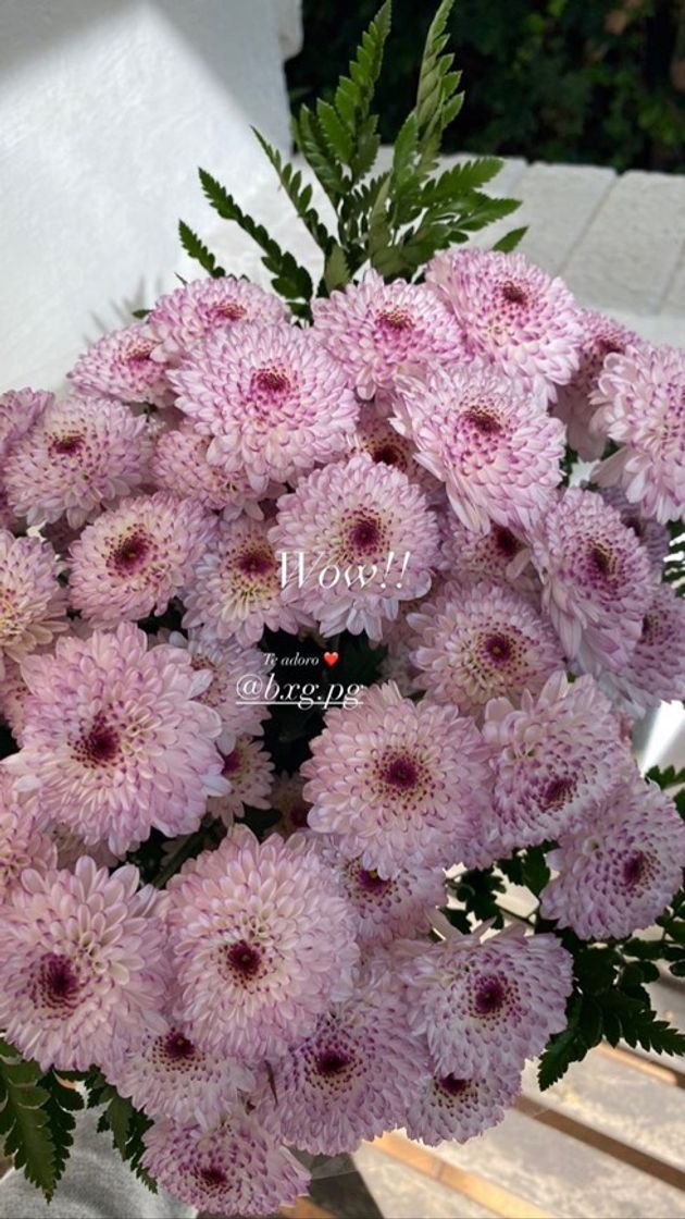 Social Ramo de flores