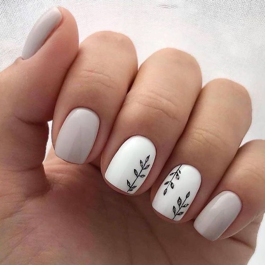 Moda Uñas frescas 