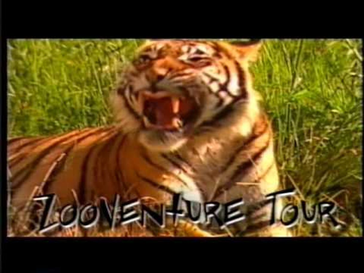 Series Animal Planet Zooventure