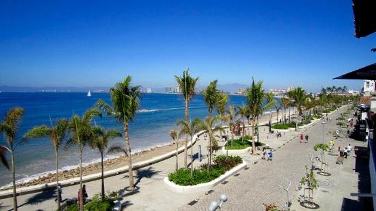 Lugar Puerto vallarta malecon