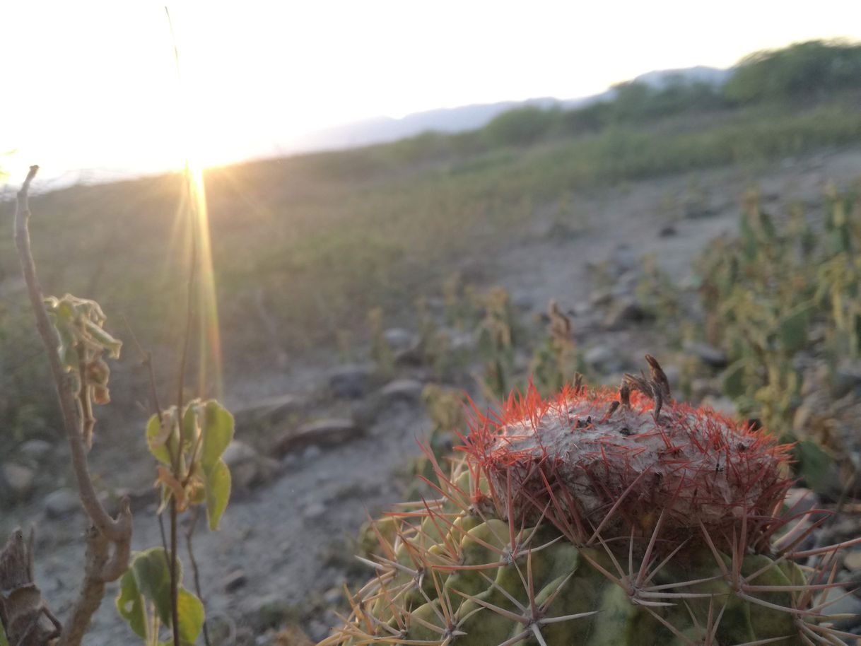 Lugar Desierto de la Tatacoa