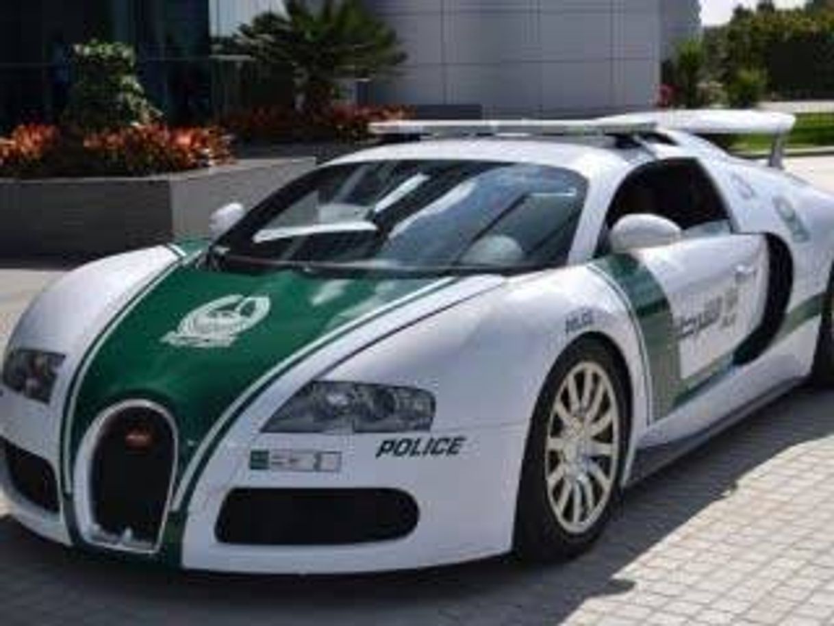 Social Autos policia