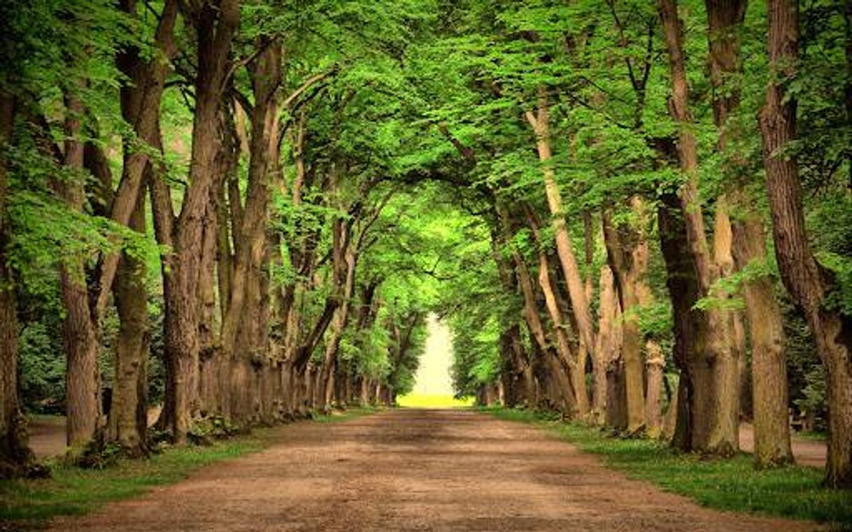 Lugar HQI Hydraulics