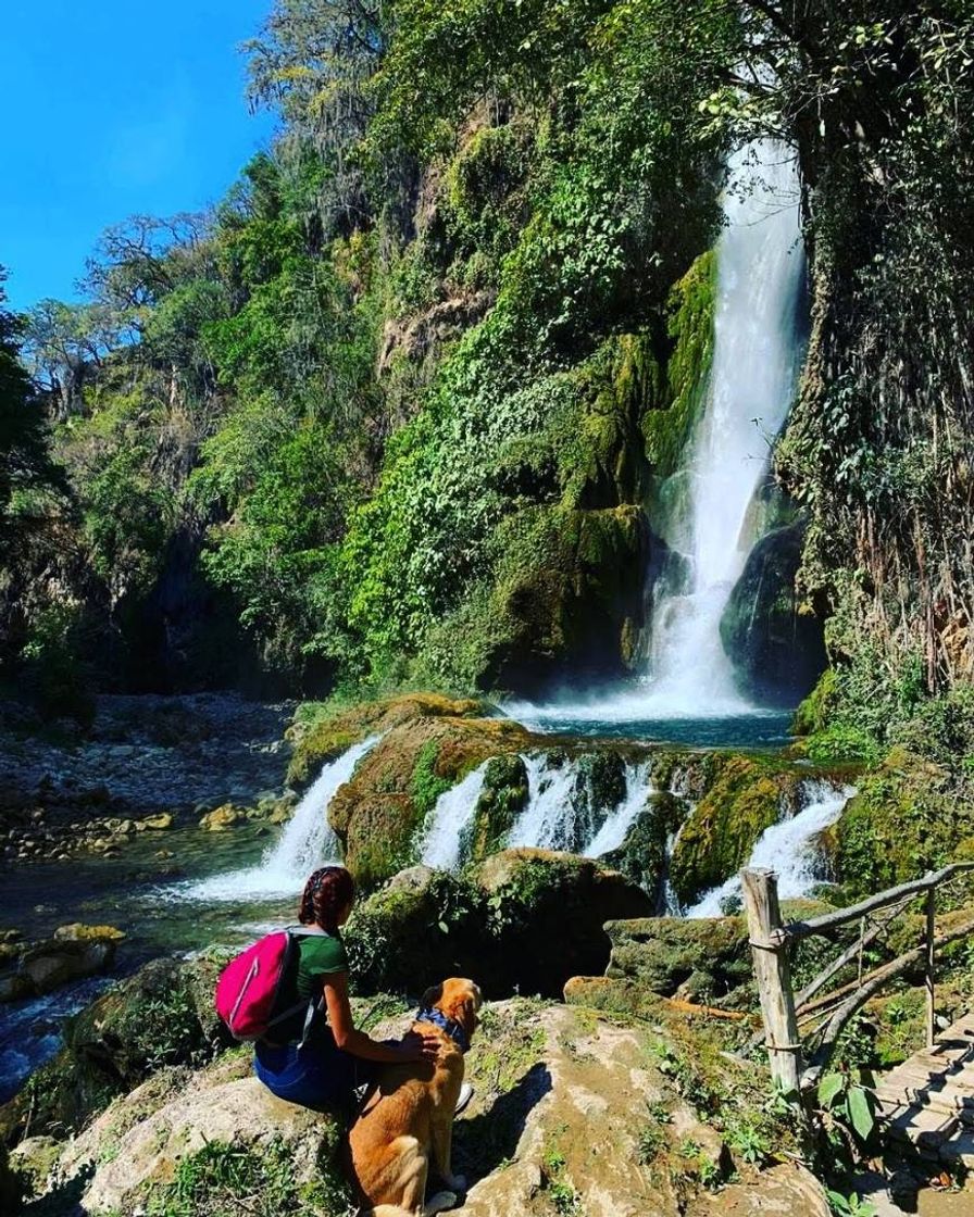 Place Cascada El Aguacate