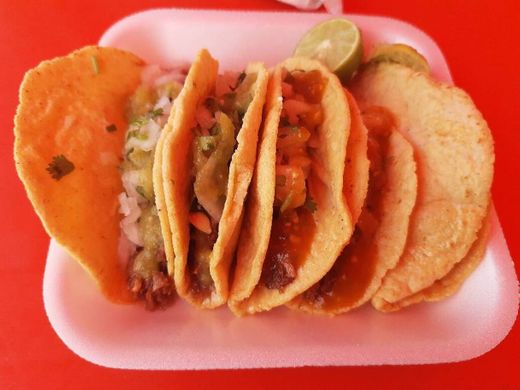 Tacos don Pancho Sucursal Apodaca