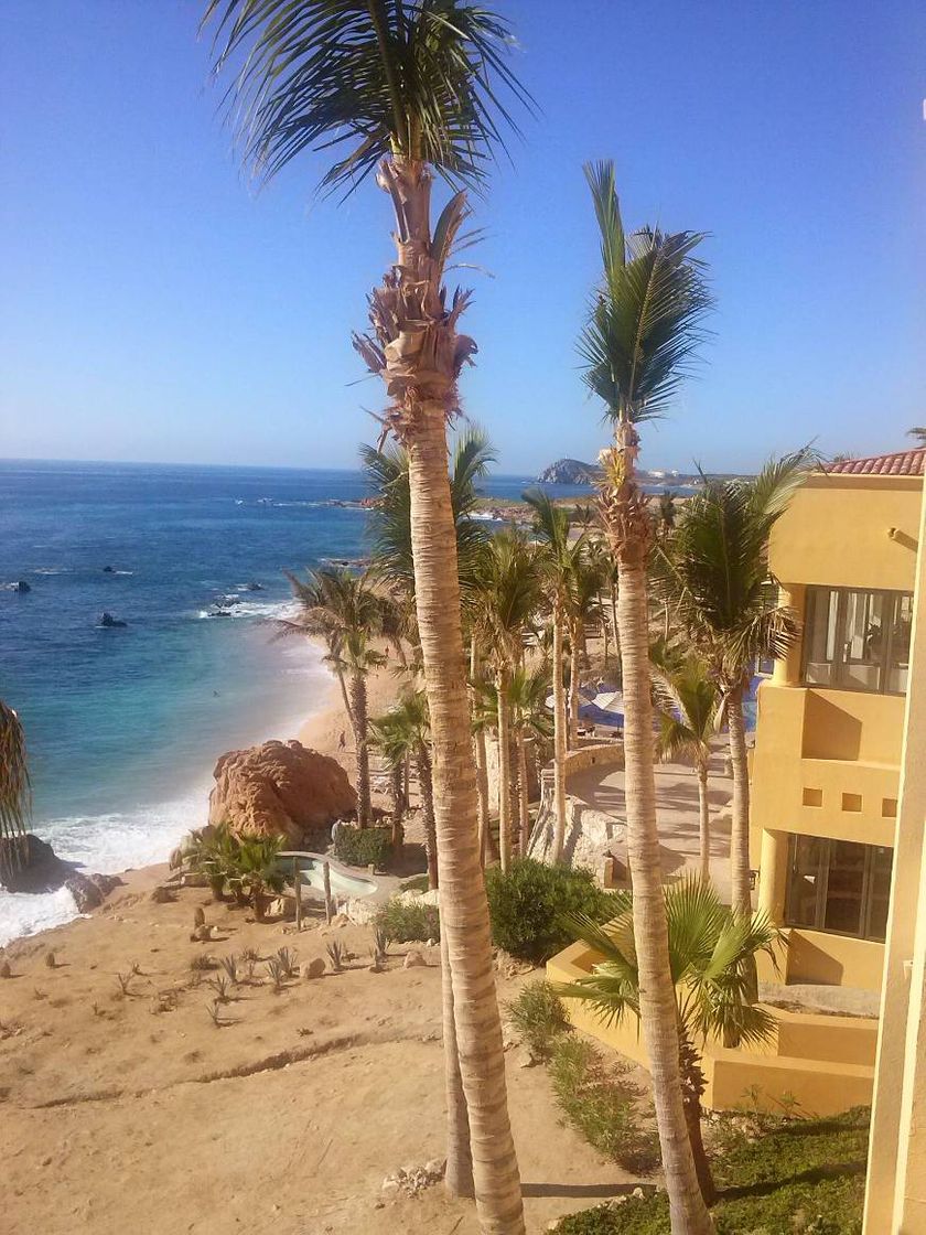 Lugar Grand Fiesta Americana Los Cabos All Inclusive Golf & Spa