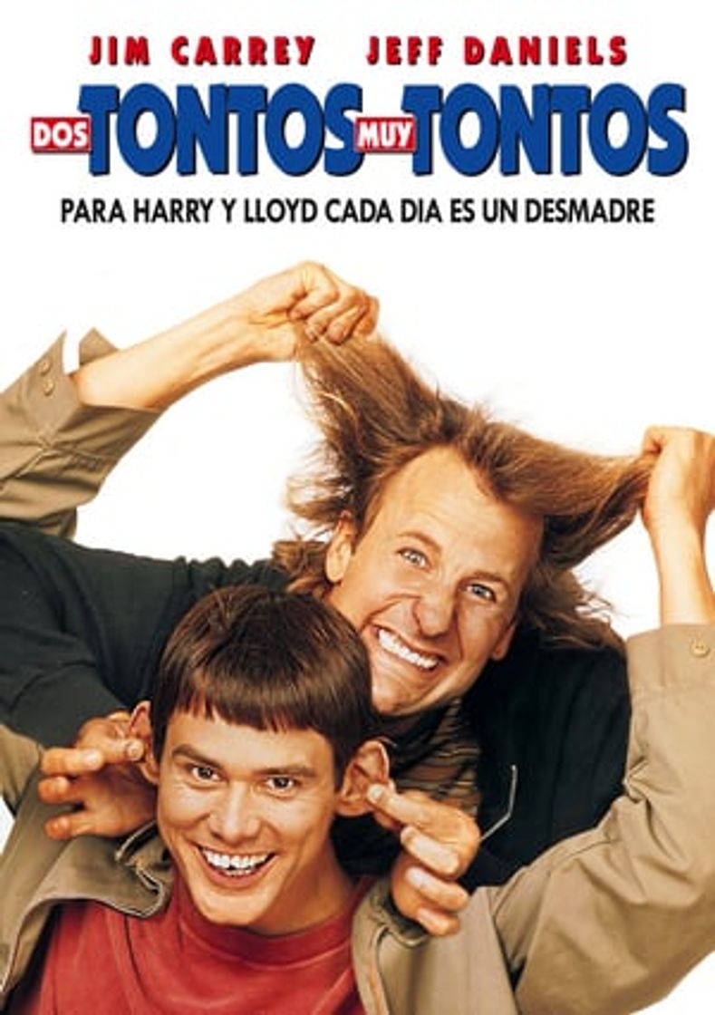 Película Dos tontos muy tontos