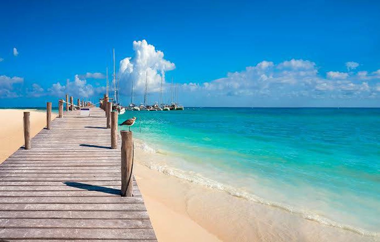 Lugar Riviera Maya