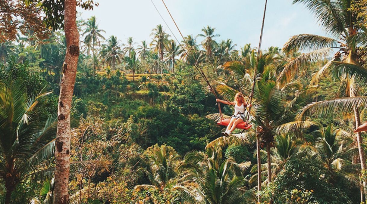 Lugar Bali Swing