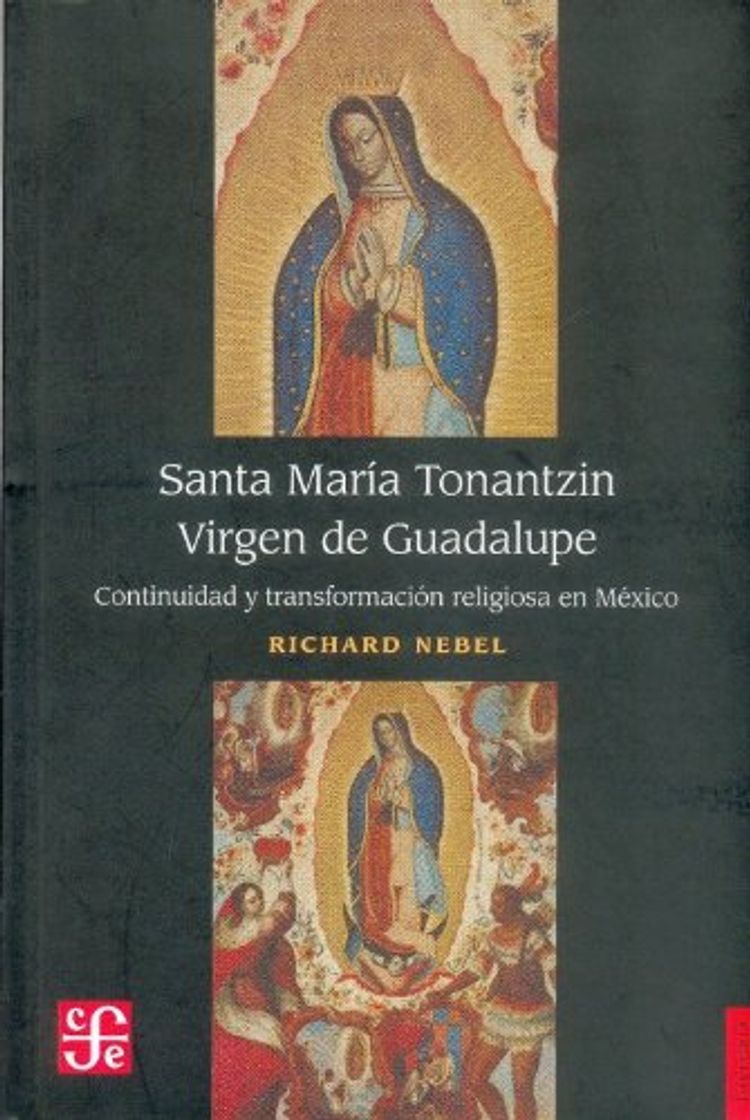 Book Santa María tonatzin