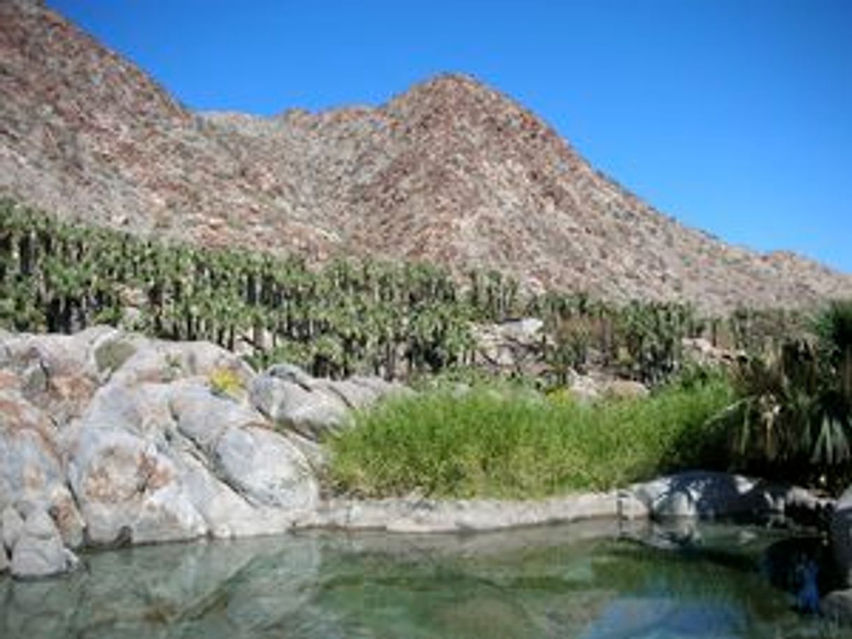 Place Cañon de Guadalupe