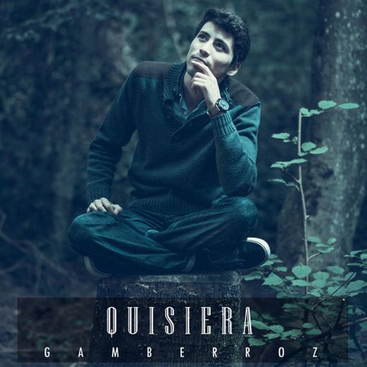 Quisiera