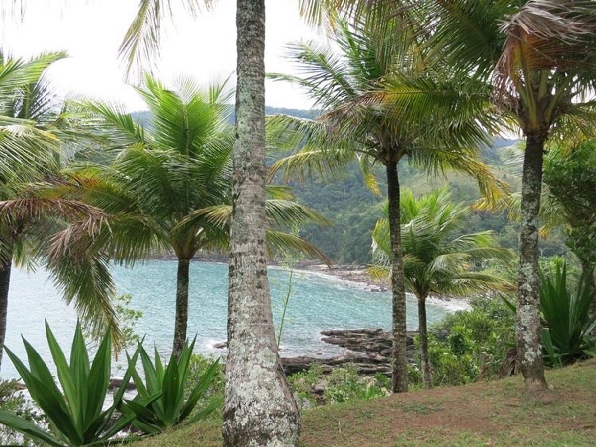 Lugar Praia De Calhetas