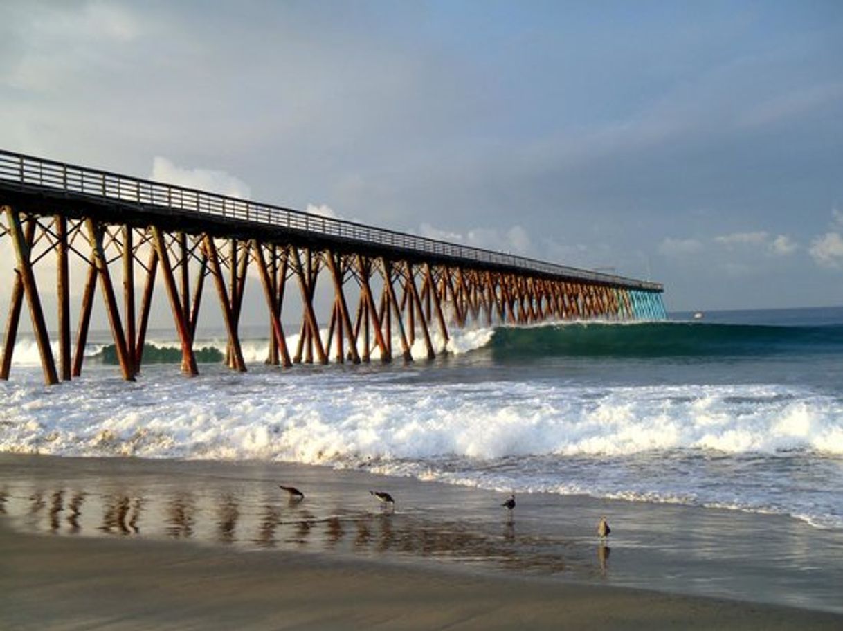 Place Rosarito Beach Hotel