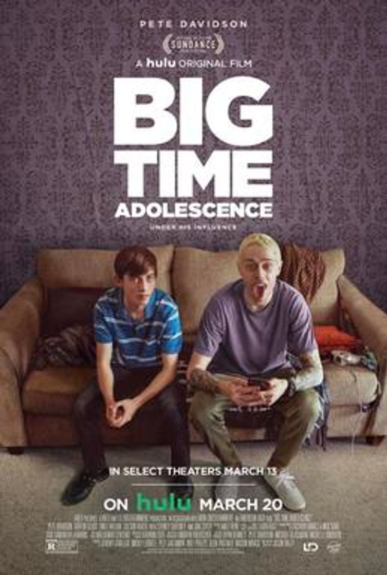 Películas Big time adolescence