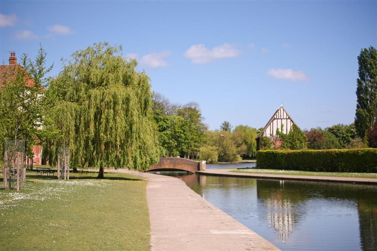 Place Rowntree Park