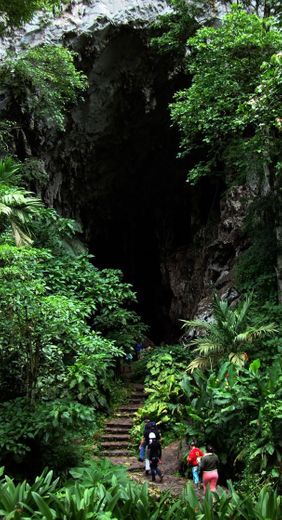 Parque Nacional El Guácharo