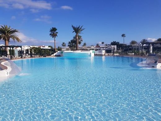 Maspalomas Lago Canary Sunset