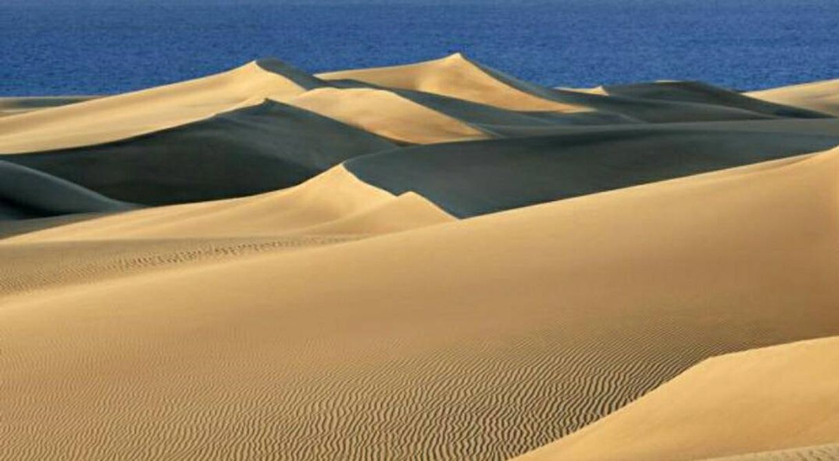 Lugar Dunas De Maspalomas