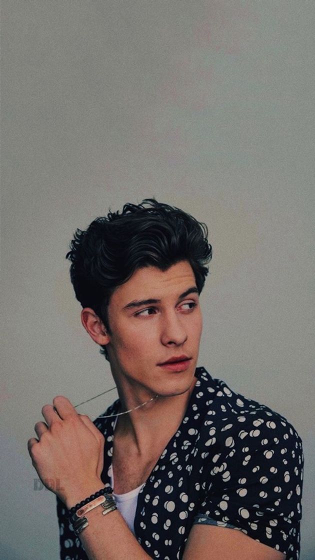 Moda Shawn mendes