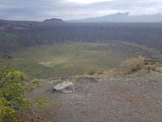 Pinacate