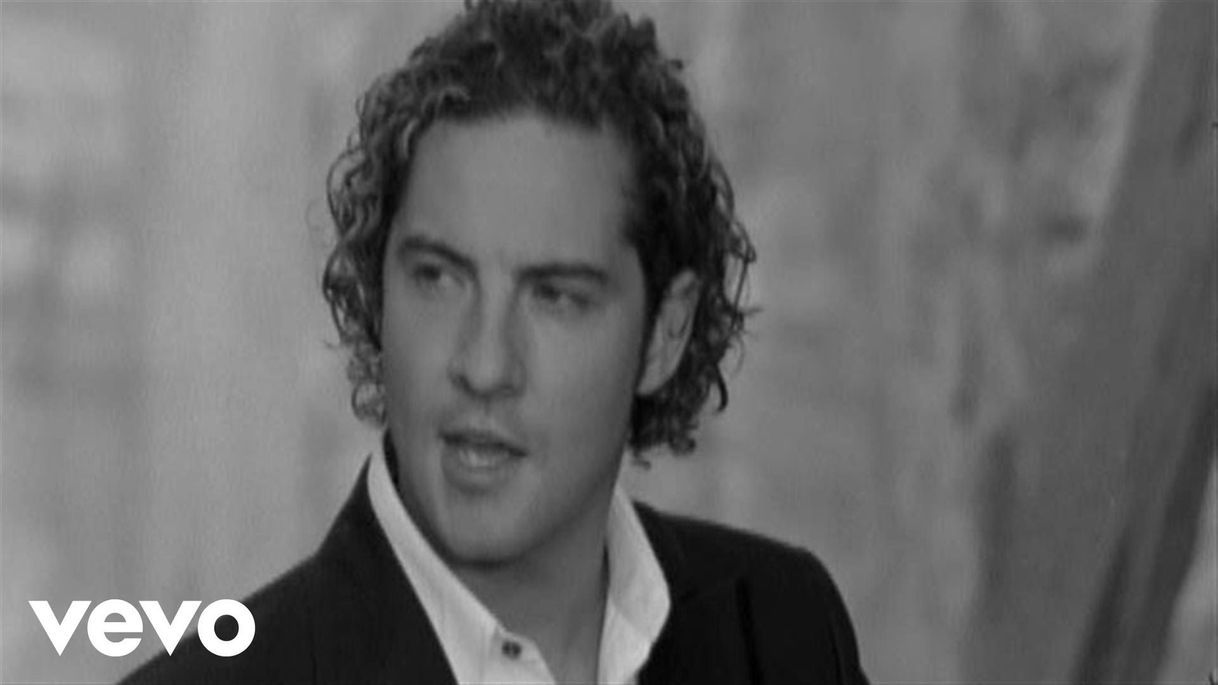 Music Mi princesa David Bisbal.