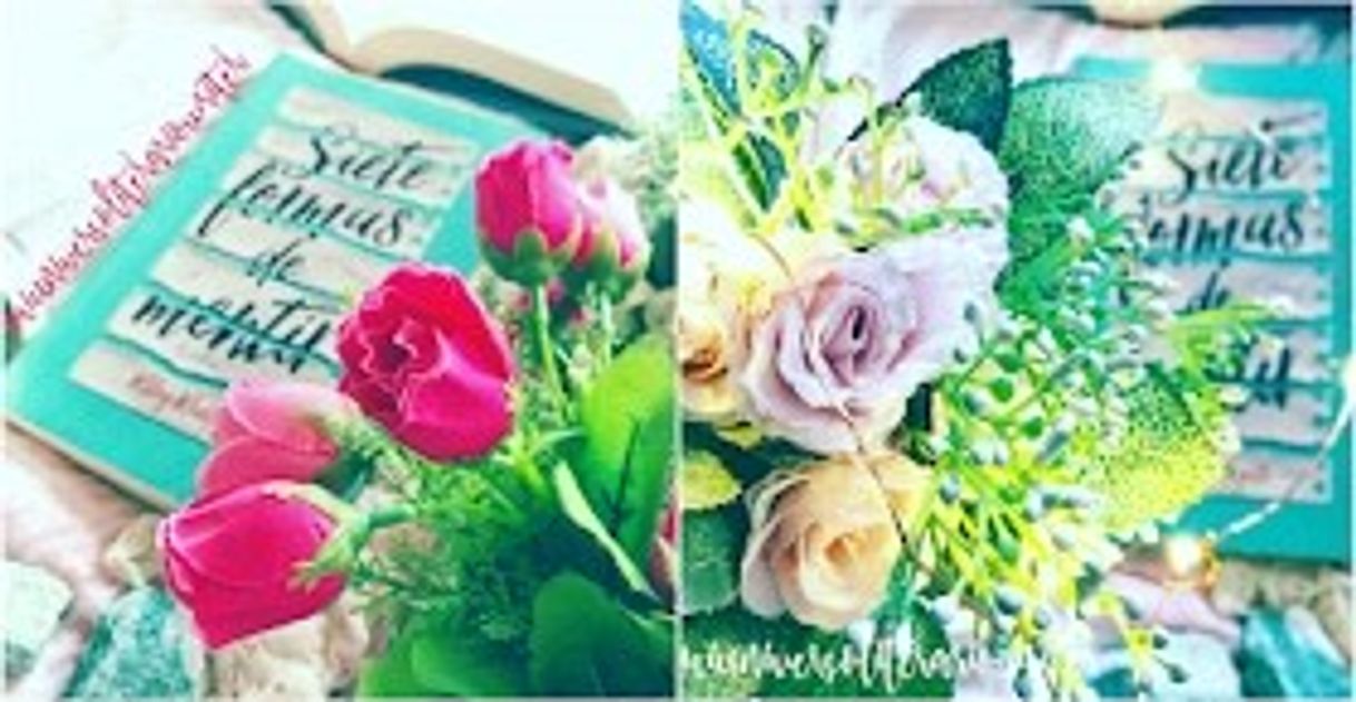 Social entrevista a ridley redgate