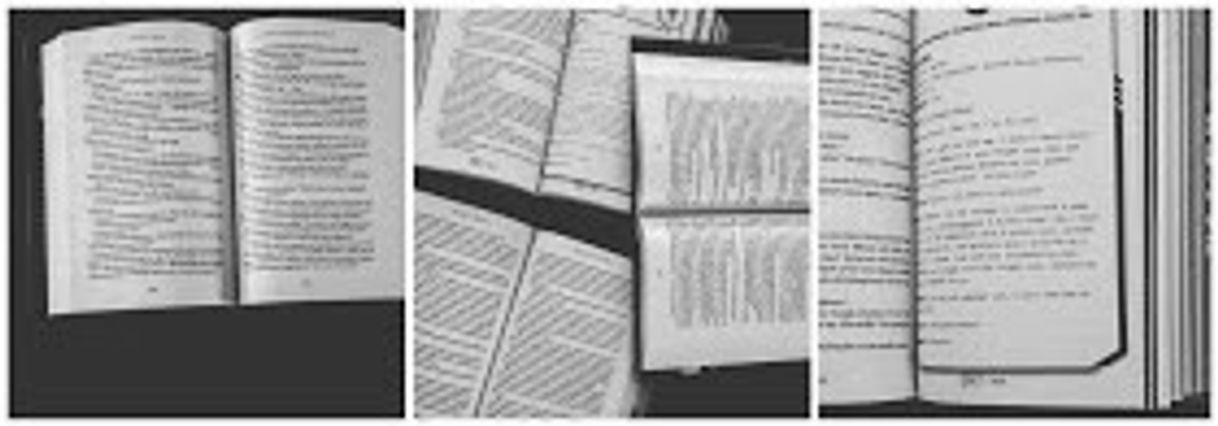 Social entrevista a r. f. kuang