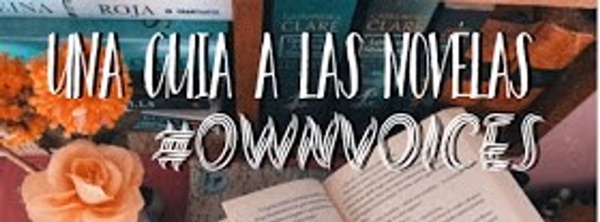 Social una guía a las novelas #ownvoices