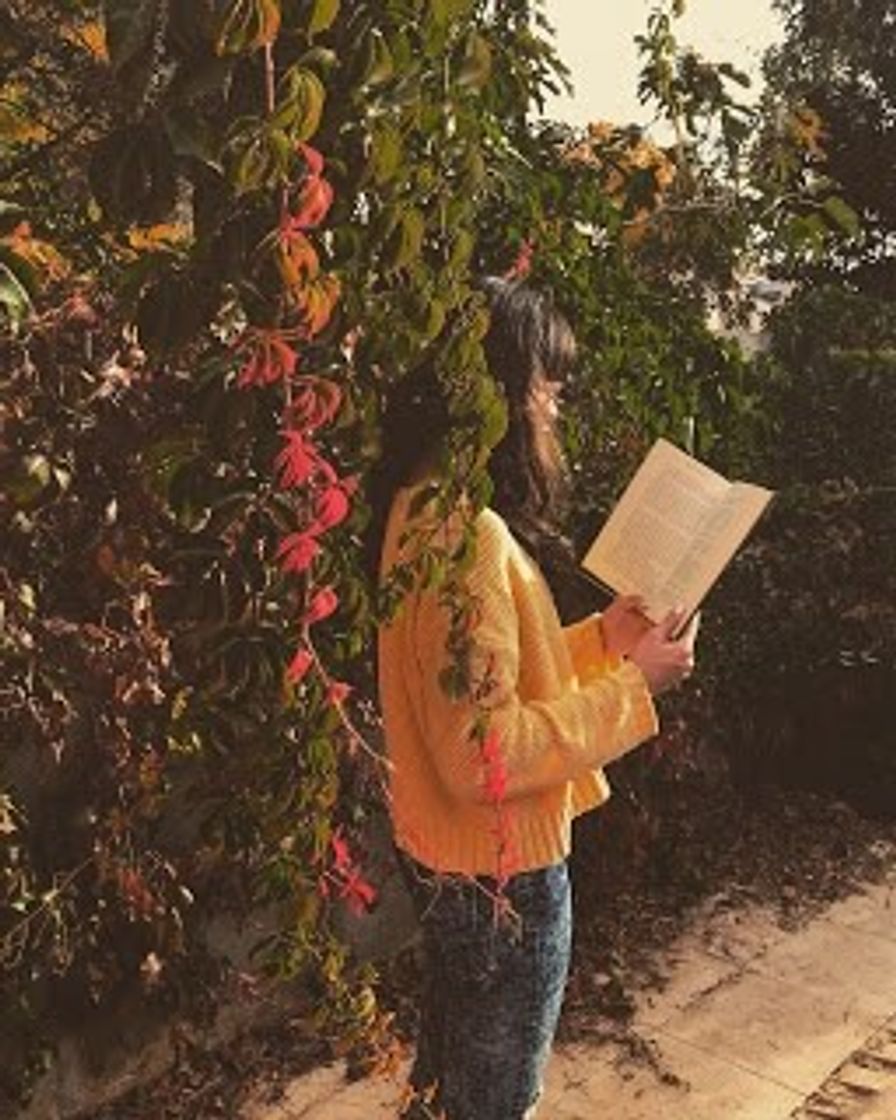 “un mar sin estrellas” de erin morgenstern