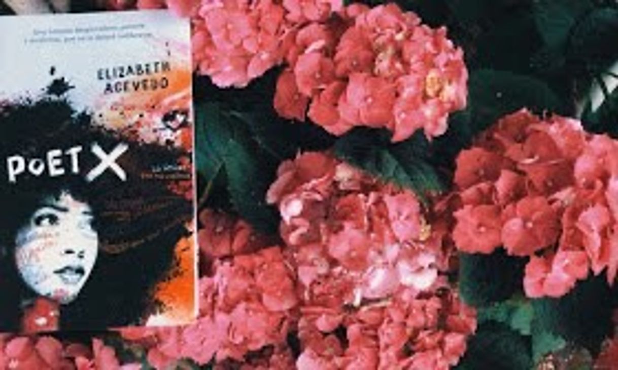 “poet x” de elizabeth acevedo