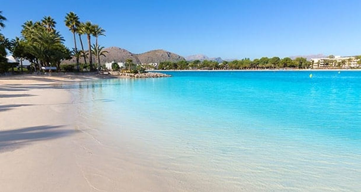 Lugar Playa de Alcudia