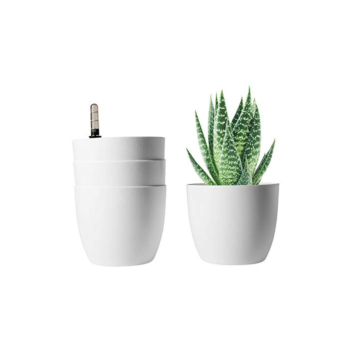 Social ComSaf Auto Riego Plantador Blanco 15CM Ronda Paquete de 4
