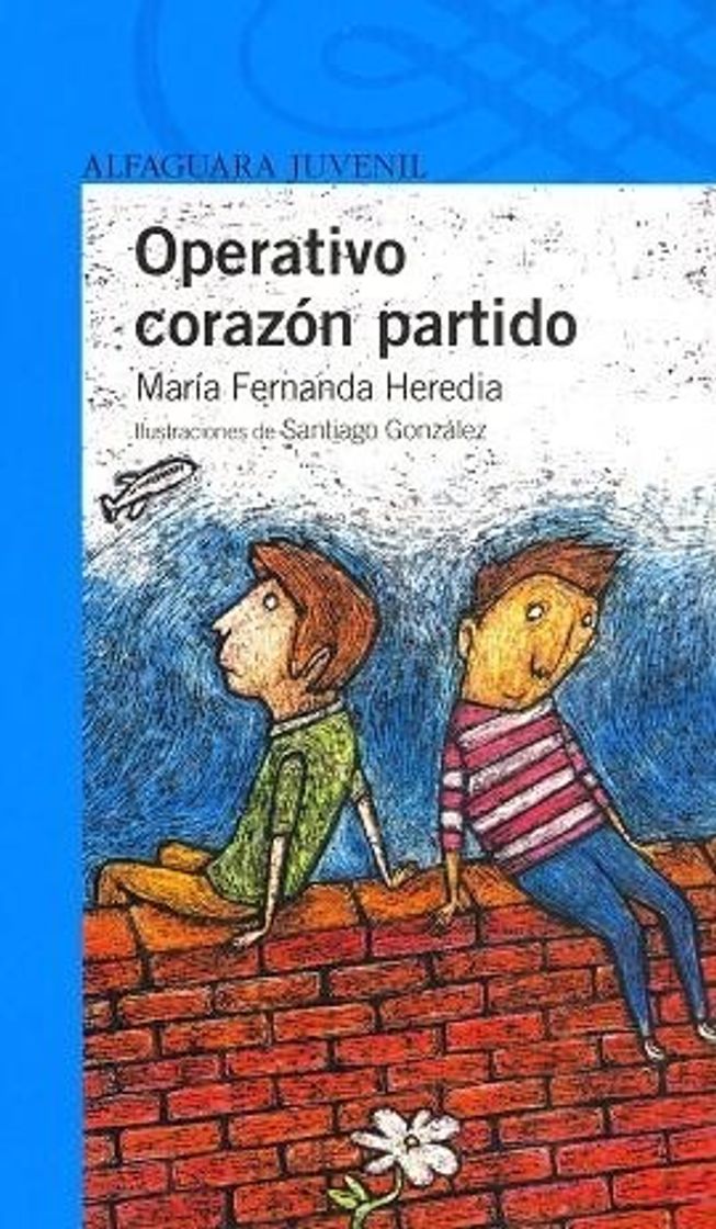 Book Operativo corazón partido