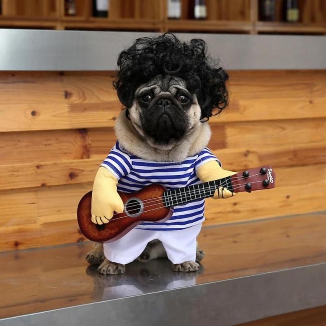 Fashion Divertido disfraz guitarrista para perro