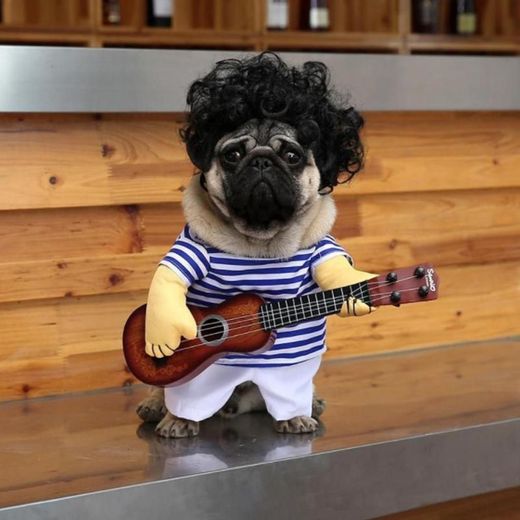 Divertido disfraz guitarrista para perro