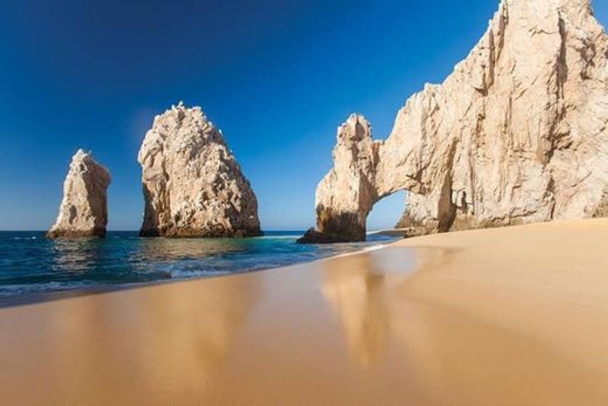 Lugar El Arco de Cabo San Lucas