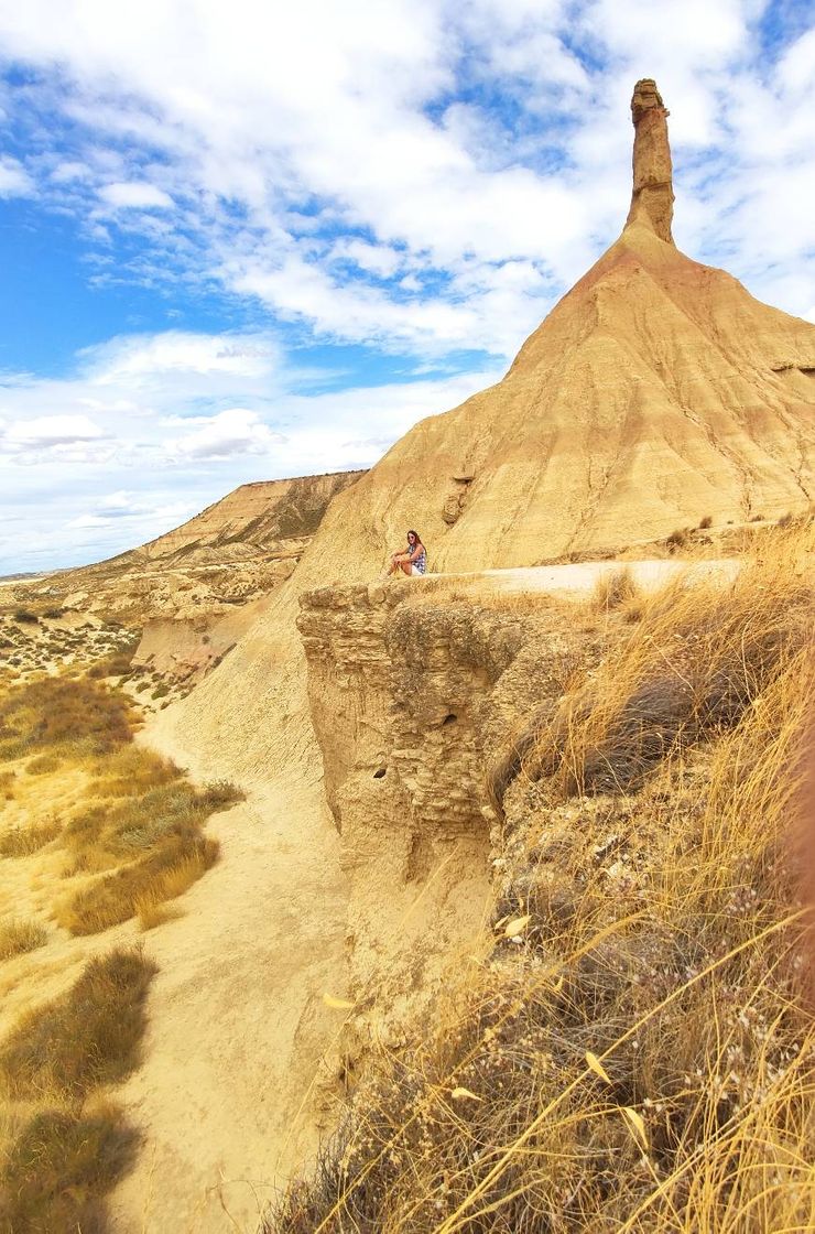 Lugar Bardenas Reales