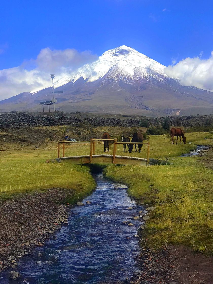 Place Cotopaxi