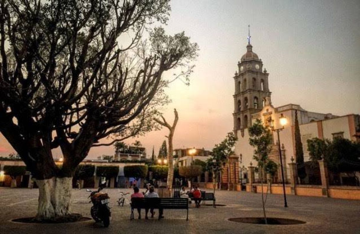 Lugar Comonfort