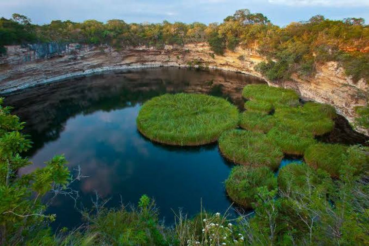 Lugar Aldama