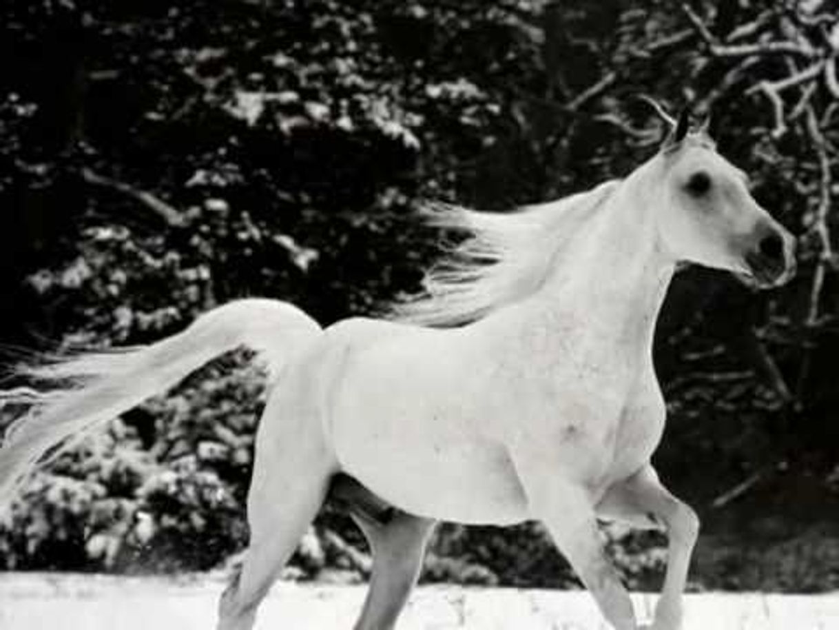 Music Return To Innocence