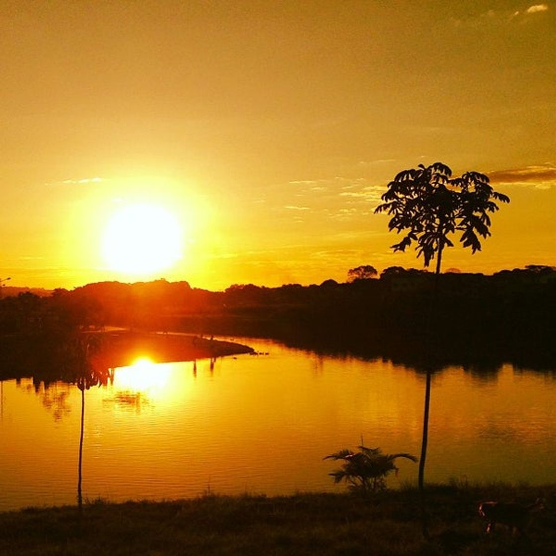 Place Parque Leolídio di Ramos Caiado (Goiânia 2)