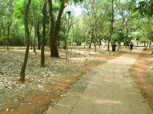 Parque Beija Flor