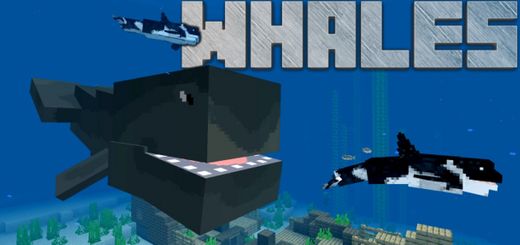 Orca / Killer Whale and Whale Add-on | Minecraft PE