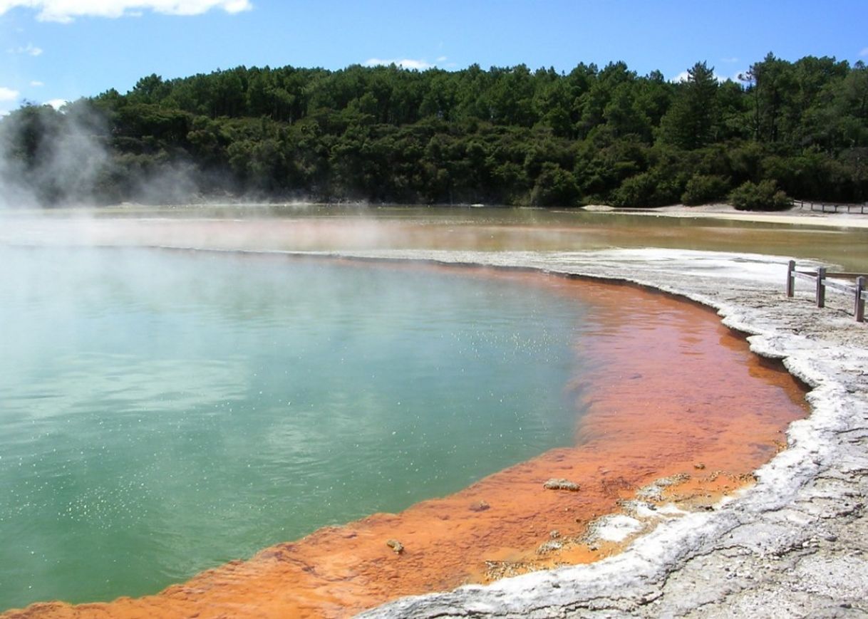 Place Rotorua